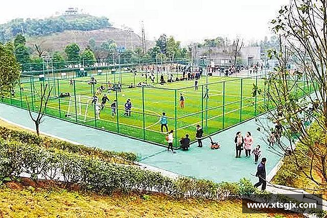 解读星空·综合体育